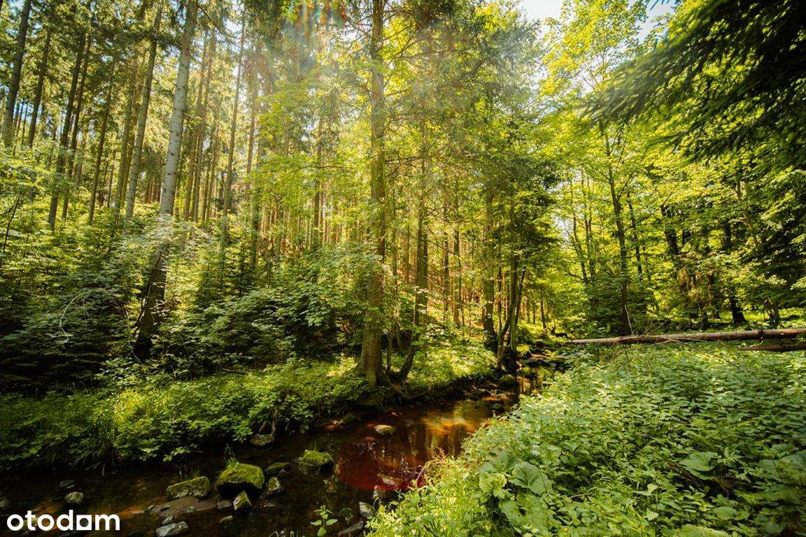 Działka budowlana z linią brzegową górskiego potoku-11