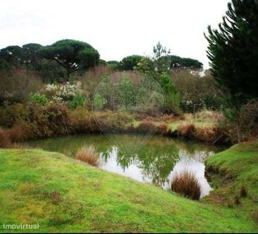 Quinta T2 para venda-34