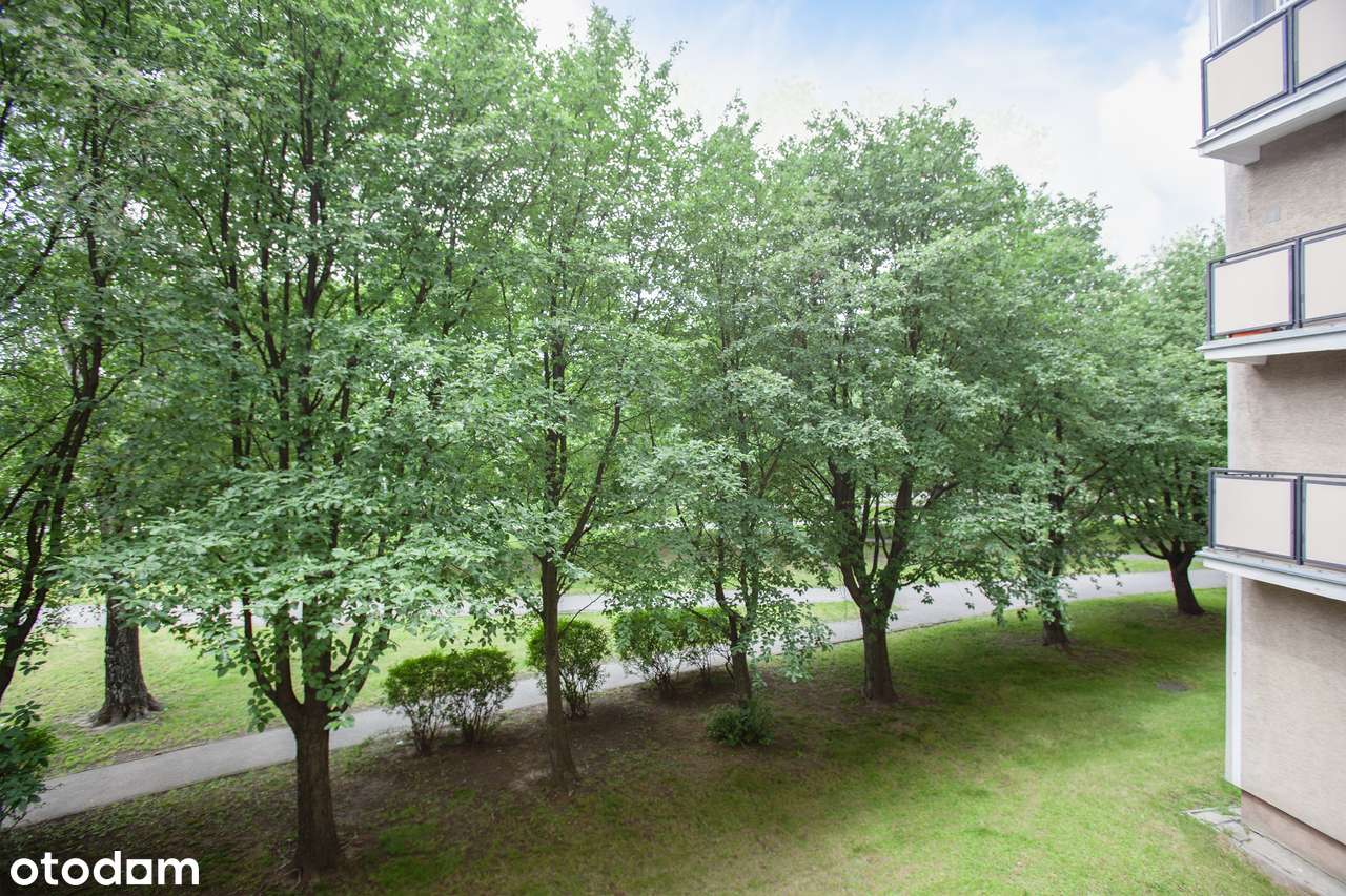 3 pokoje, balkon, widna, komórka, widna kuchnia-5