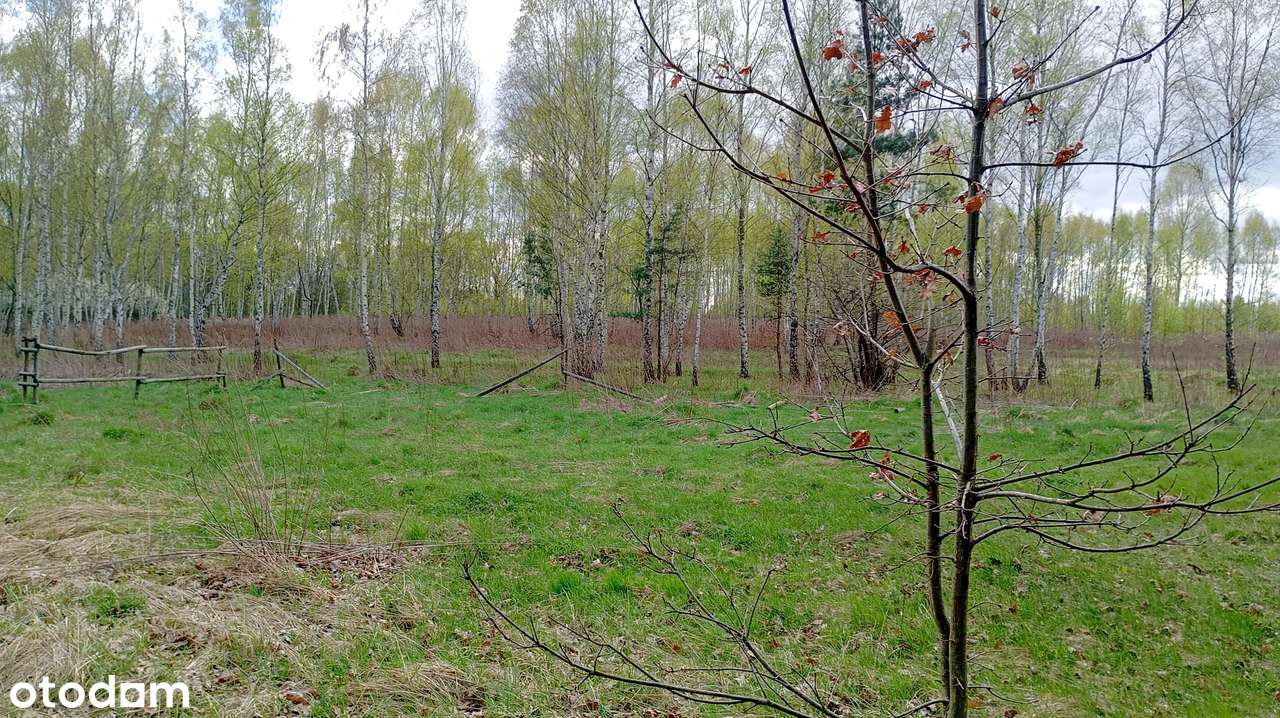 Wyjątkowa działka w super cenie... nie przegap! - Pełny obrazek: 4/6