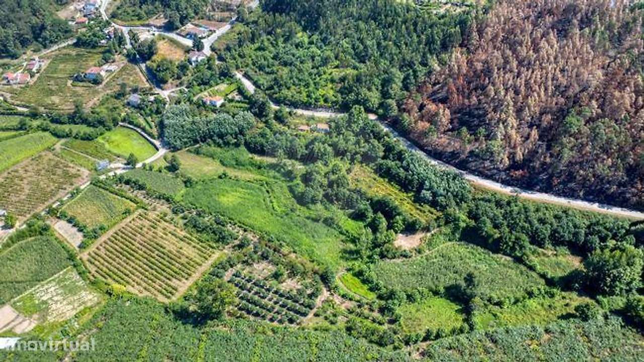 Quinta  para venda - Grande imagem: 4/17