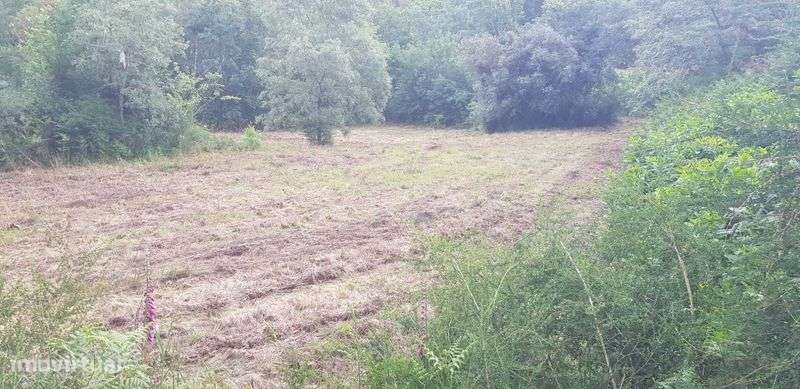 Terreno/6000m2/ Parte dele com licença de construção - Grande imagem: 4/10