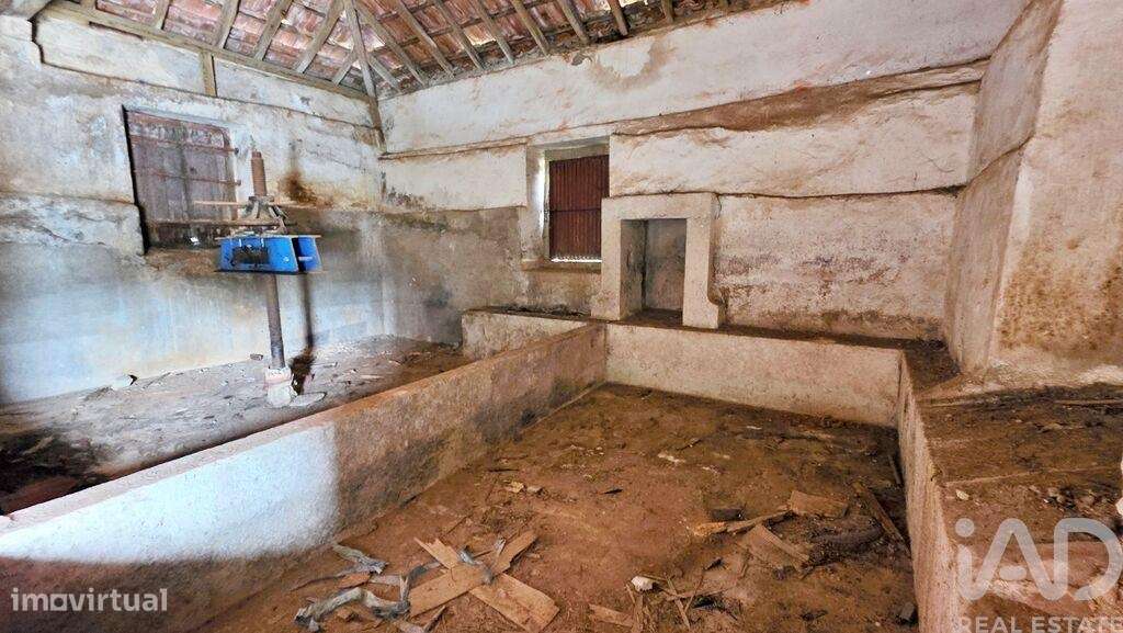 Loja / Estabelecimento Comercial em Cadaval e Pêro Moniz de 200,00 m2 - Grande imagem: 3/8