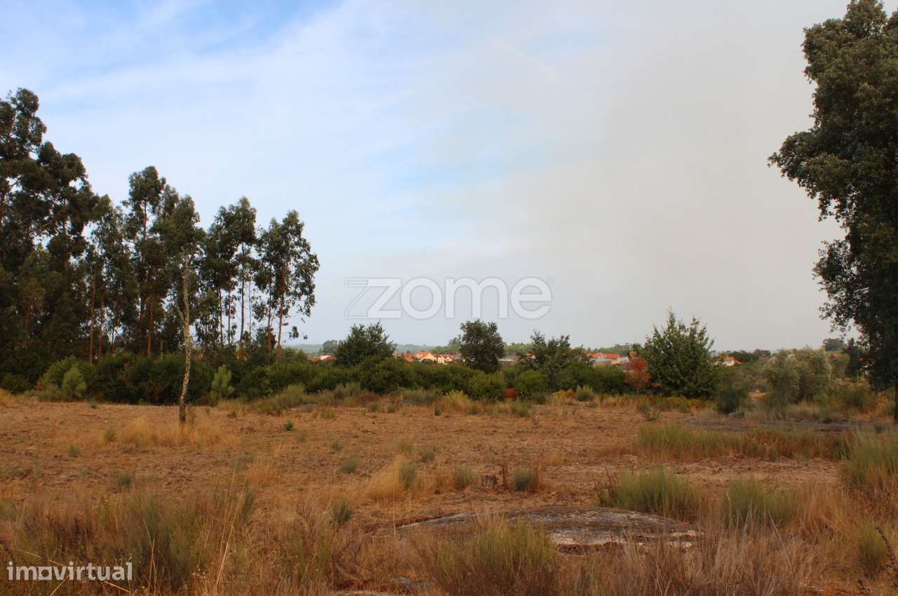 Terreno Rústico com Olival em Paranhos da Beira, Seia - Grande imagem: 4/16
