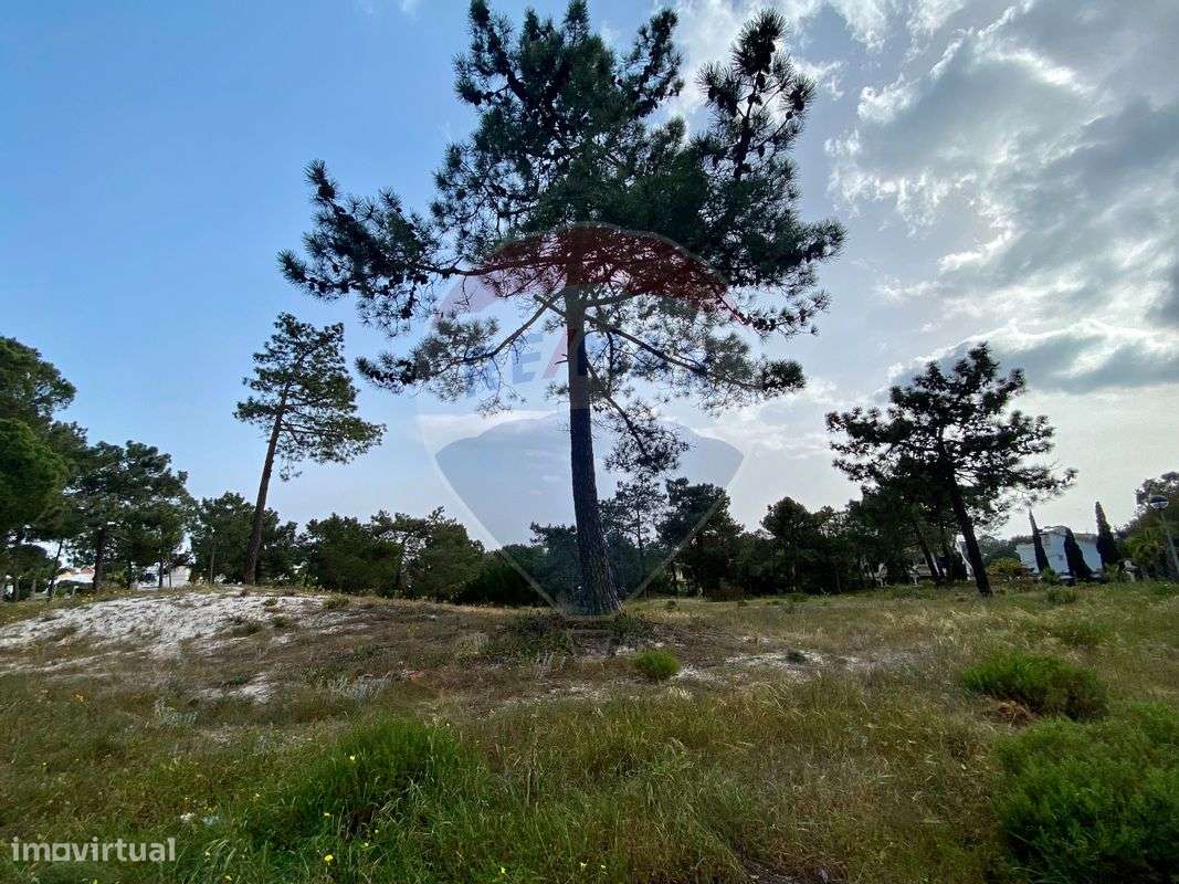 Terreno  para venda - Grande imagem: 5/14