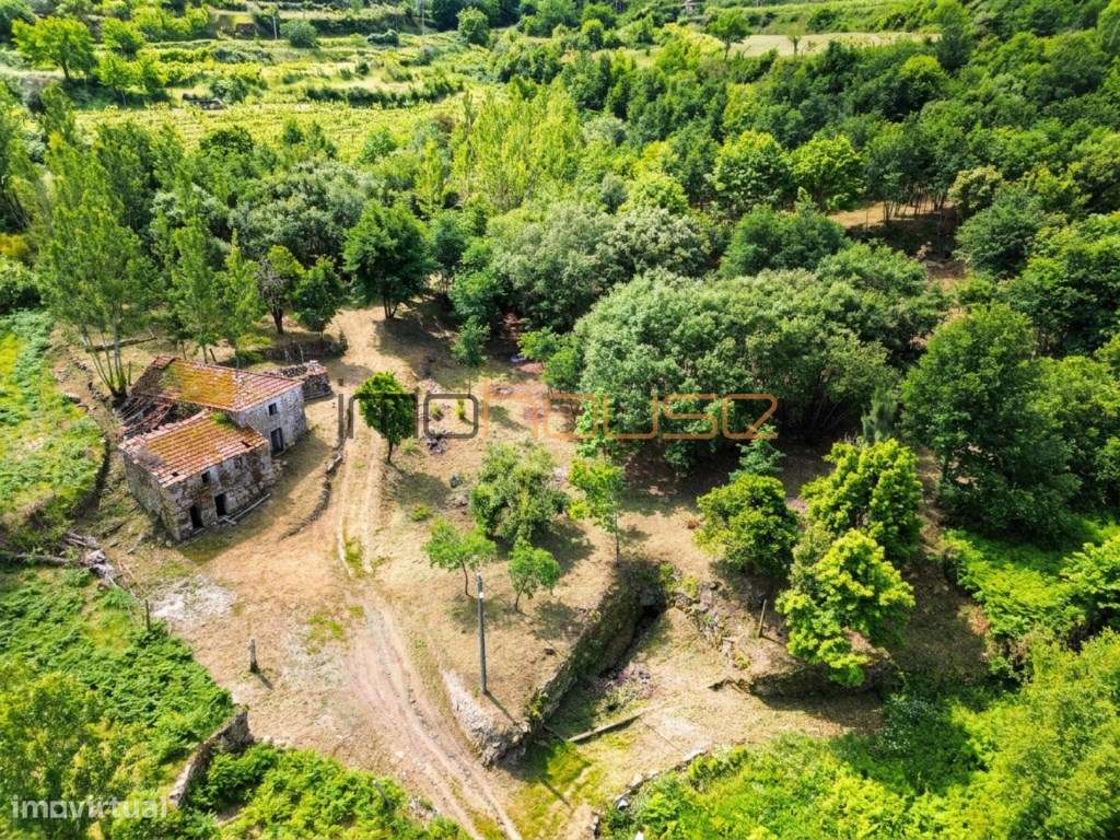 Quinta com Ribeiro e casa para restaurar - Terreno de cultivo-19