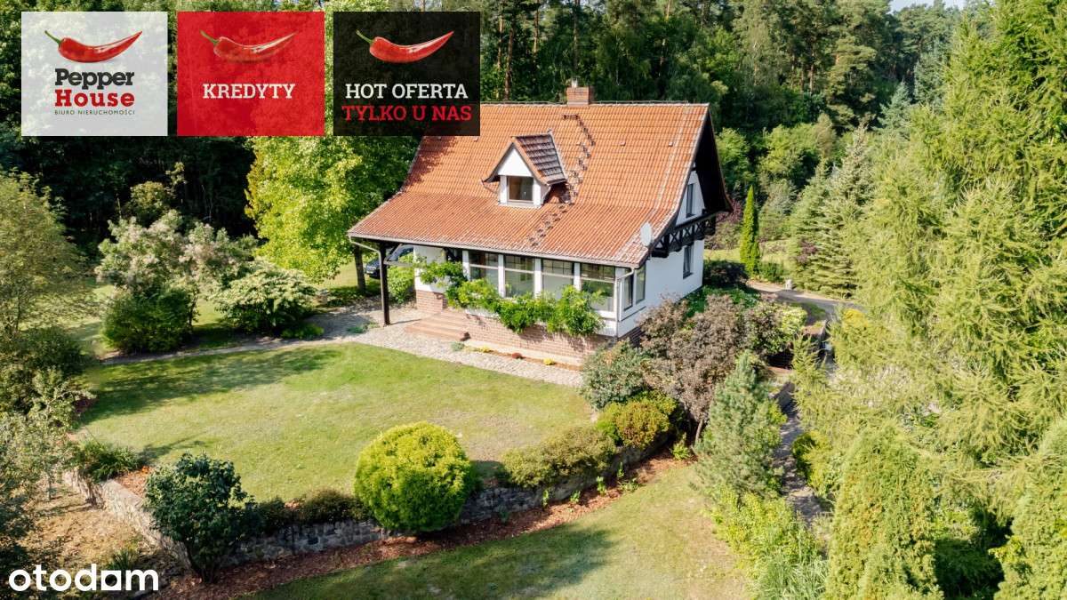 1,2 HA działki z domem i zab. gospodarczymi - Pełny obrazek: 5/20