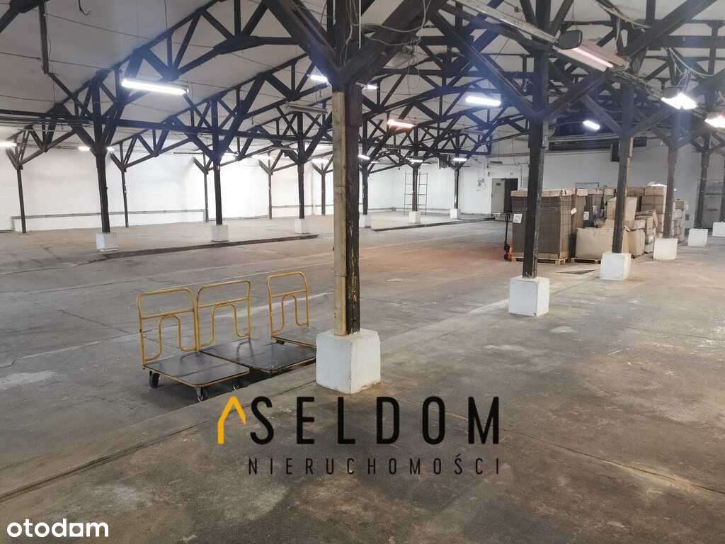 Hala produkcyjno- magazynowa - Pełny obrazek: 4/14
