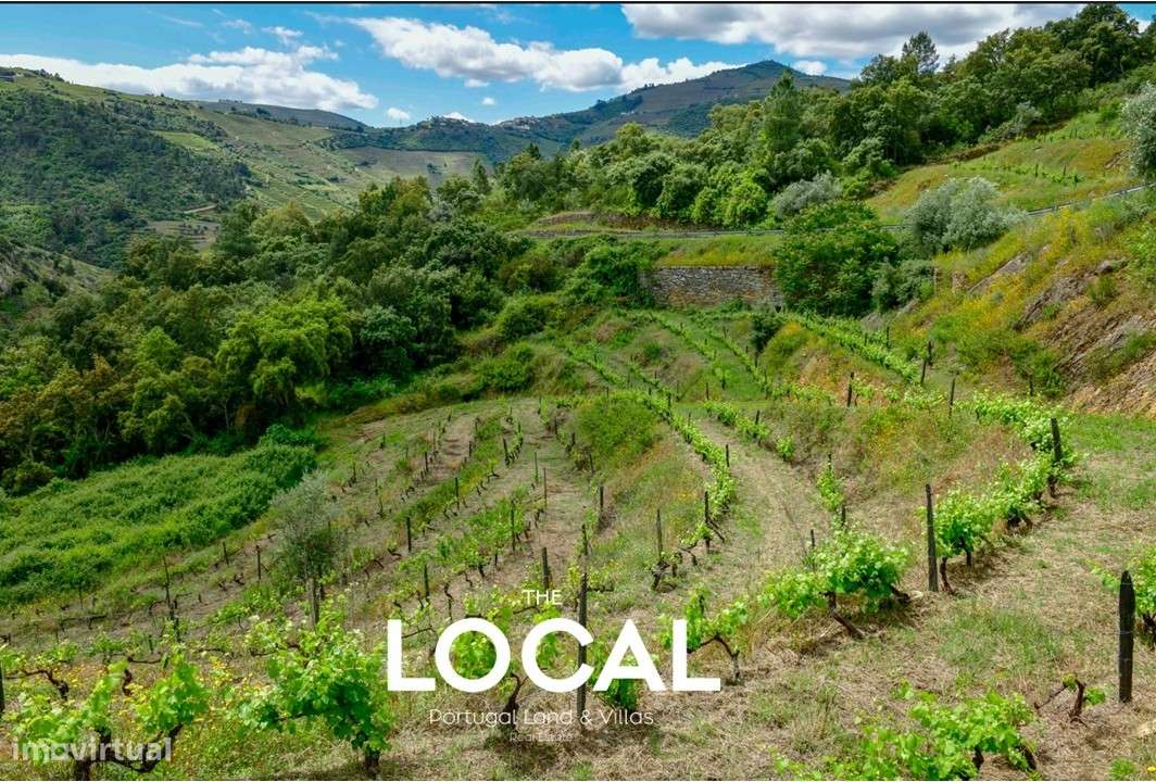 QUINTA HISTÓRICA DO DOURO - Grande imagem: 4/24