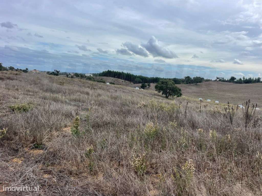 Monte Típico Alentejano para Reabilitar - Santiago do Cacém-14