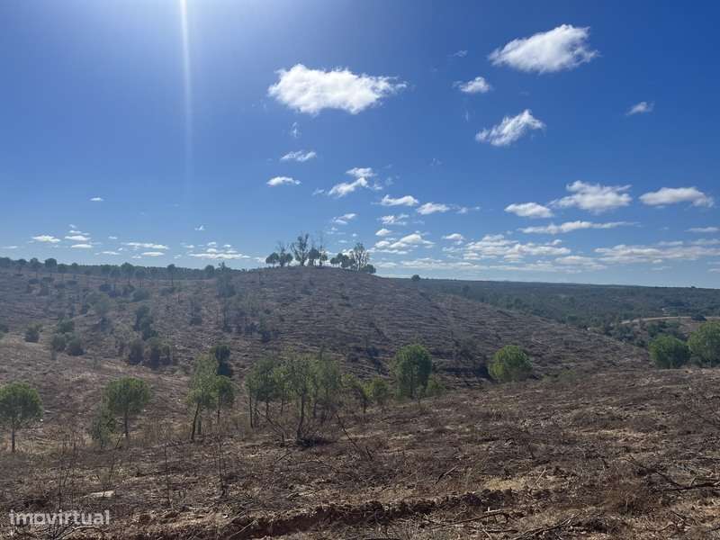 Herdade com 48ha de Natureza c/ Ruína de 53 m² – Ideal Projetos Rurais-10
