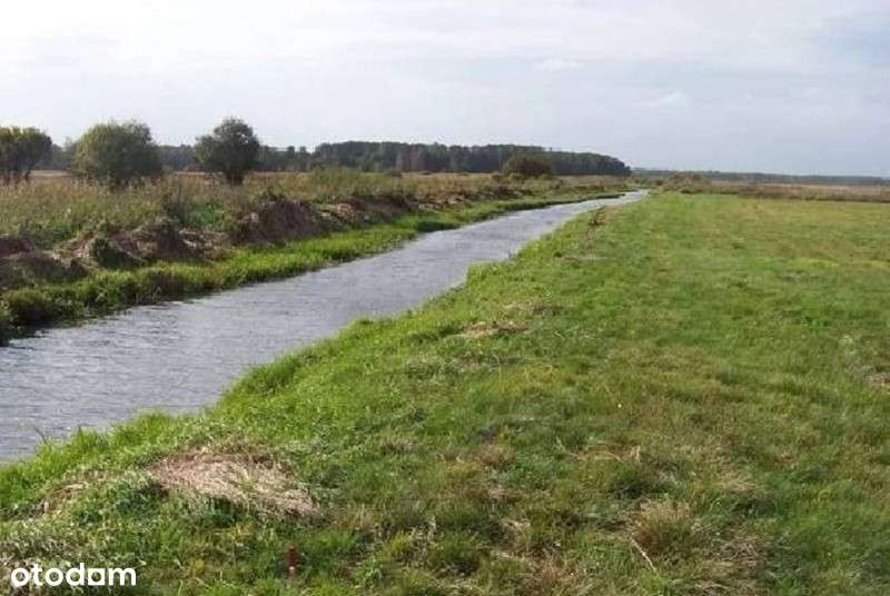 Urokliwa działka z własną linia brzegowa rzeki - Pełny obrazek: 1/4