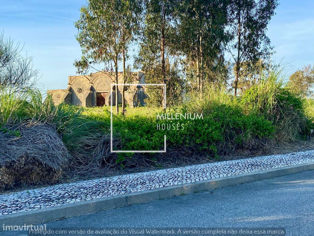 Terreno Urbano | 1. ª LINHA GOLFE | Vila Nova de Santo Estêvão-5