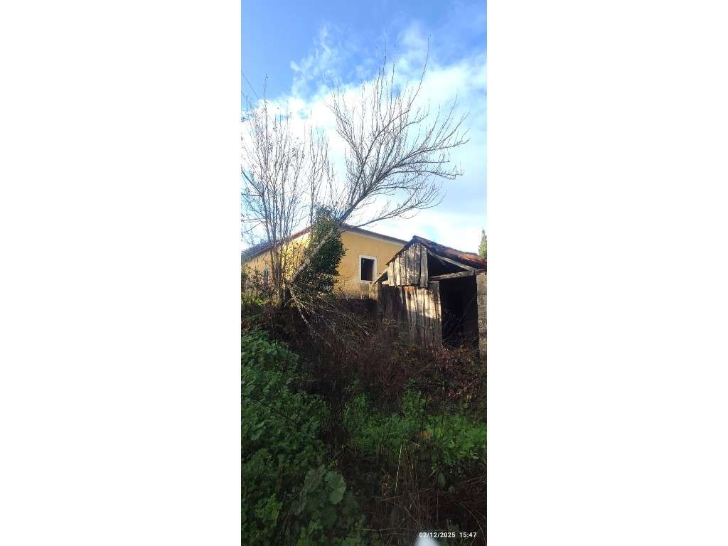 Casa para restauro com 6000m2 de terreno, localização única entre a... - Grande imagem: 3/22