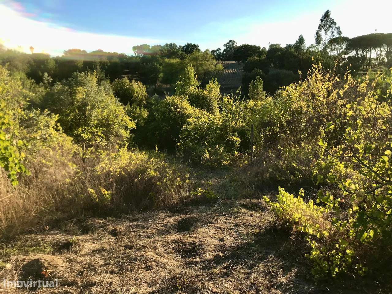 Moradia, Arrecadação, Terreno 1720m2-28