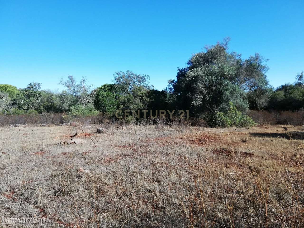 TERRENO RUSTICO - Grande imagem: 2/8