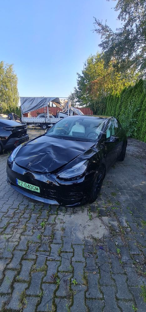 Tesla Model y 2025