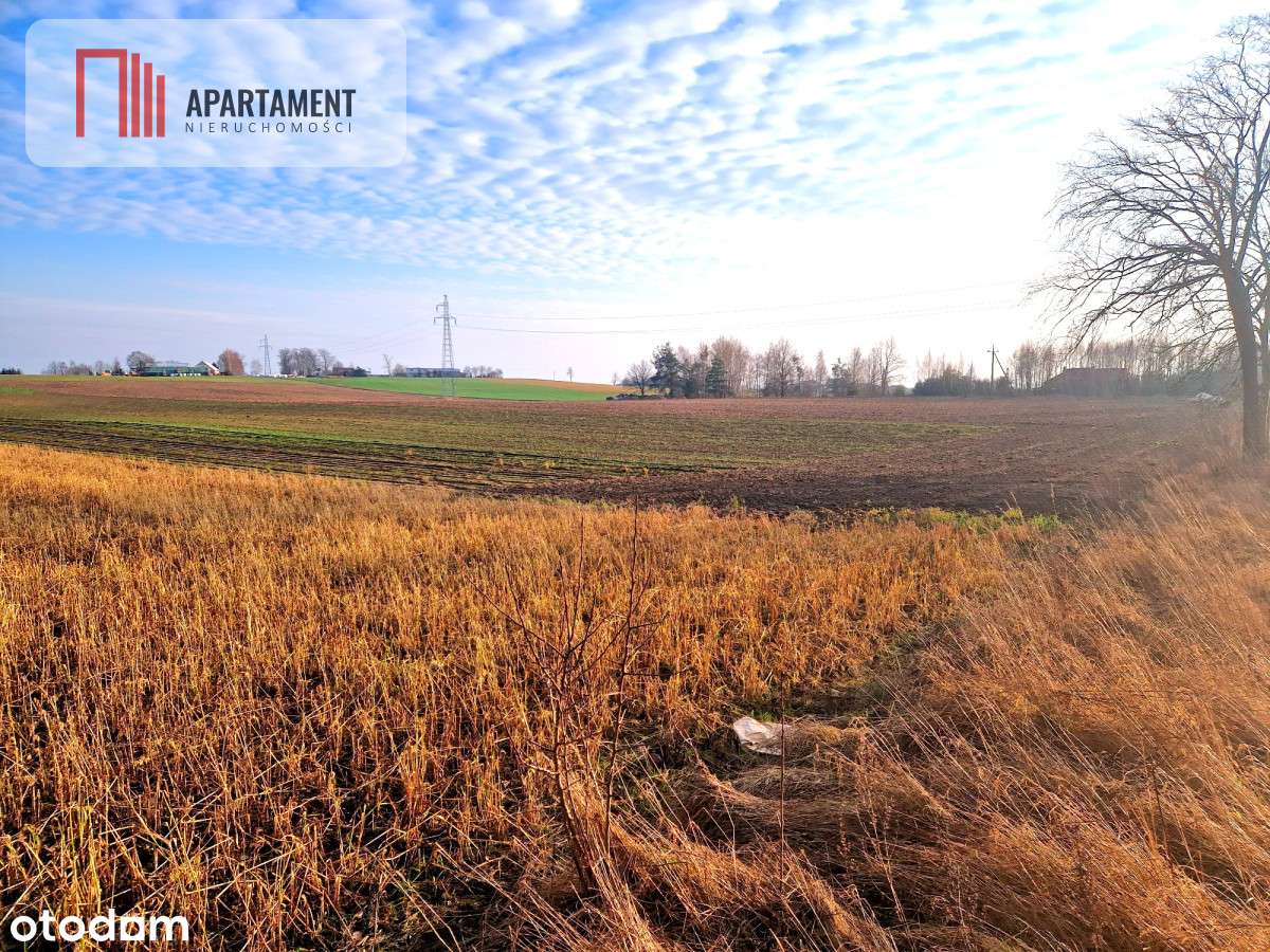 Tylko U Nas! Miejsce na Twój wymarzony dom! - Pełny obrazek: 2/4