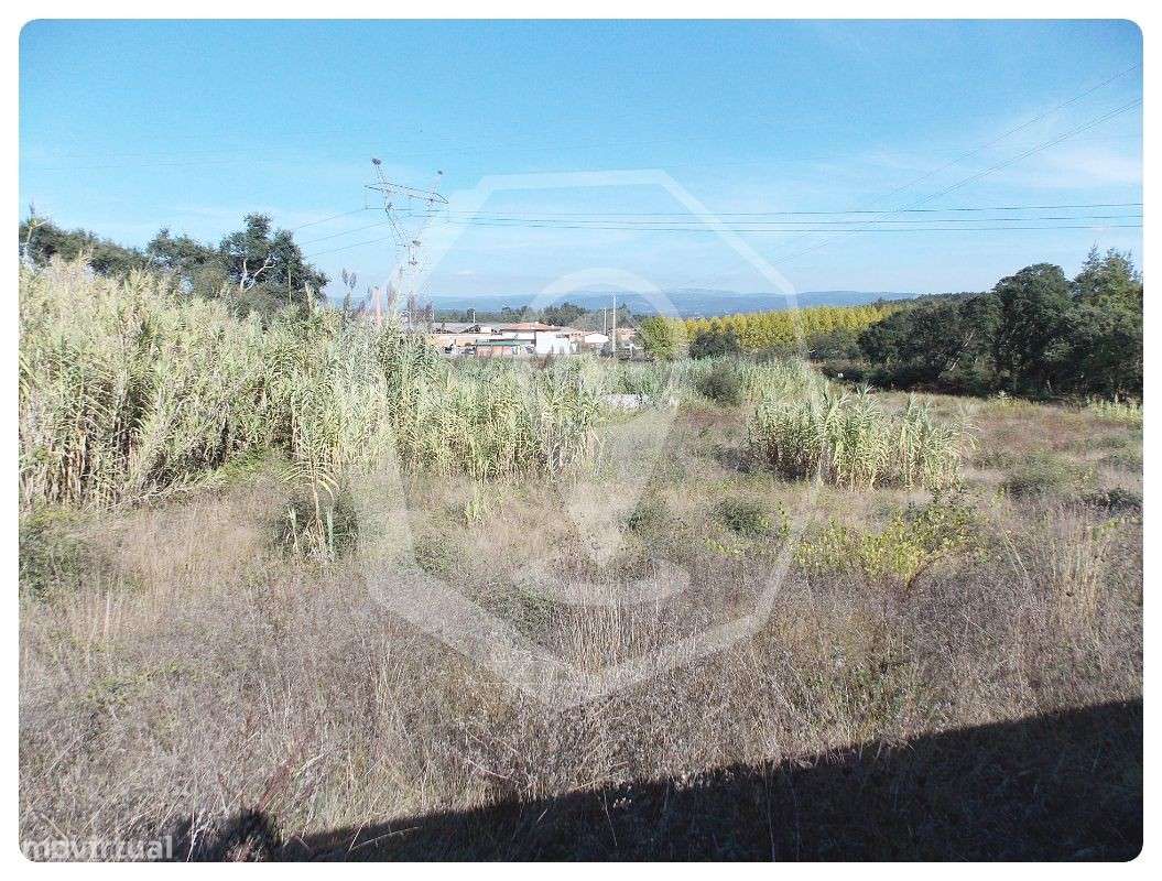 Terreno para Construção 6 moradias em Oliveira do Bairro - Grande imagem: 2/7