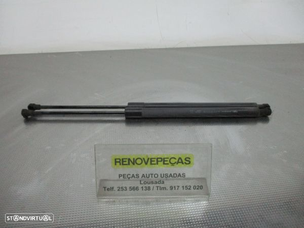 Amortecedor / Amortecedores Mala Renault Scénic Iii (Jz0/1_) - 1