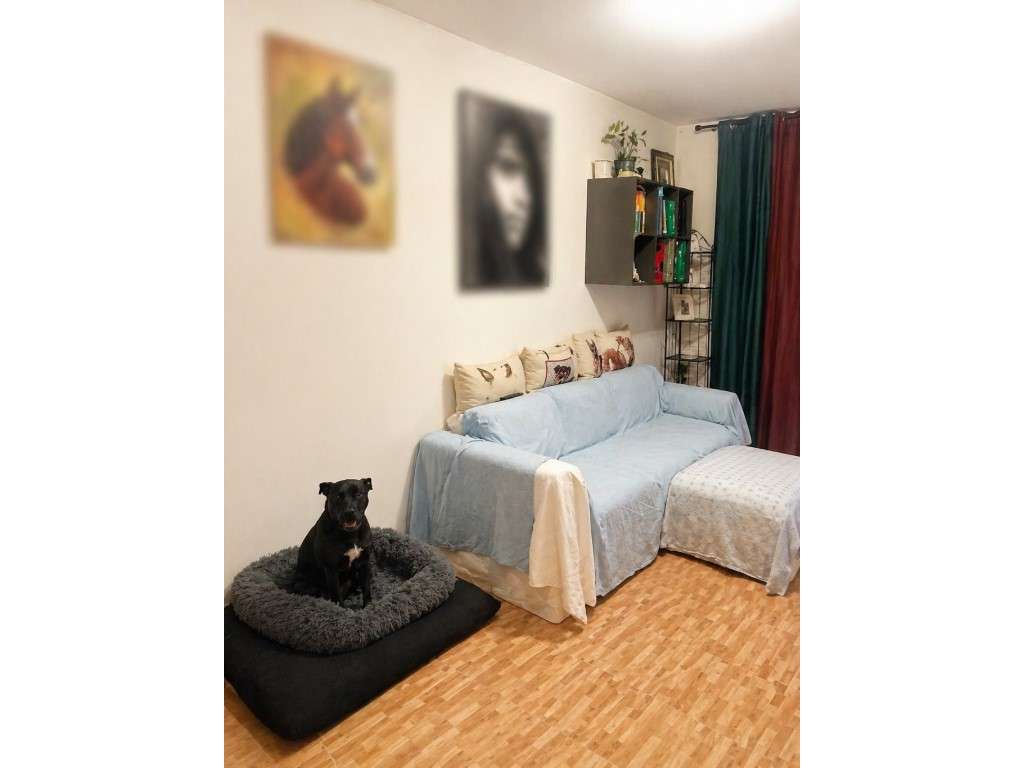 T2 renovado em Prédio de Referência no Vale da Amoreira-4