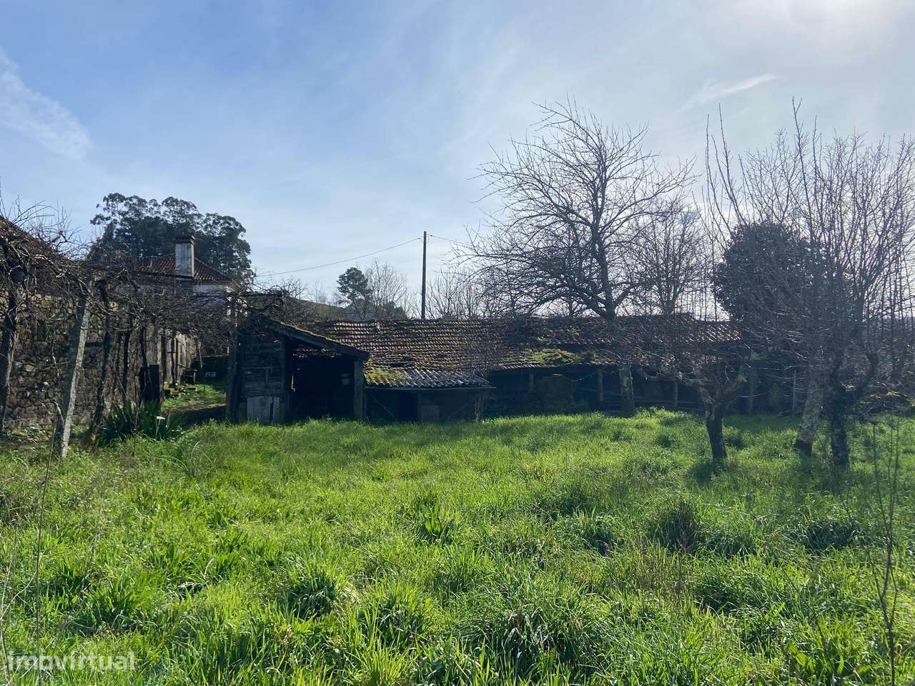 Quintinha com moradia em pedra para restauro com 2.000m2 de terreno.-14