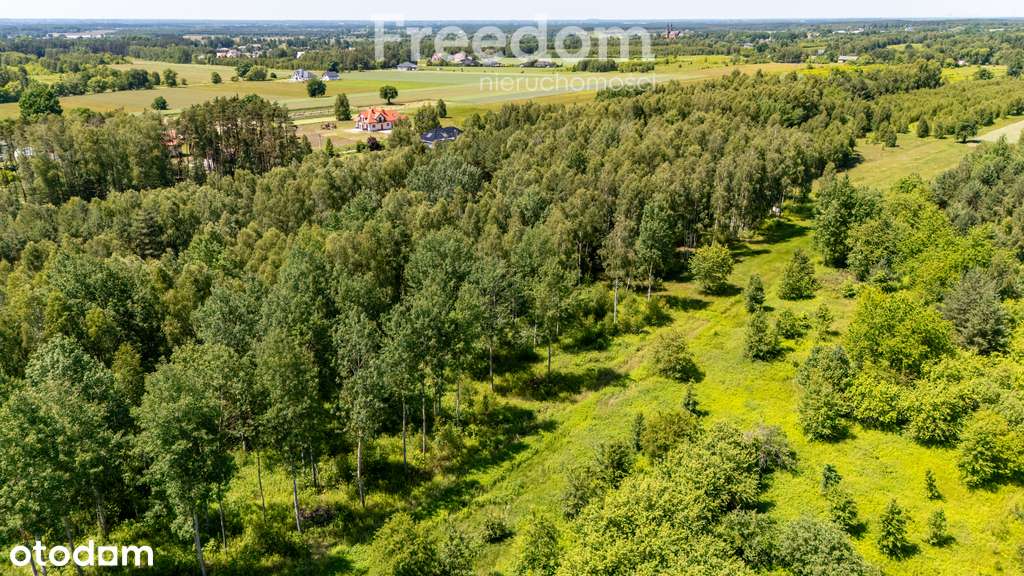 Zielona przystań pod Warszawą – działki w Osiecku - Pełny obrazek: 5/19