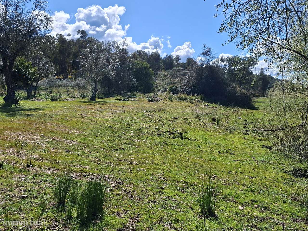 Quinta T5 Venda em Comenda,Gavião-6