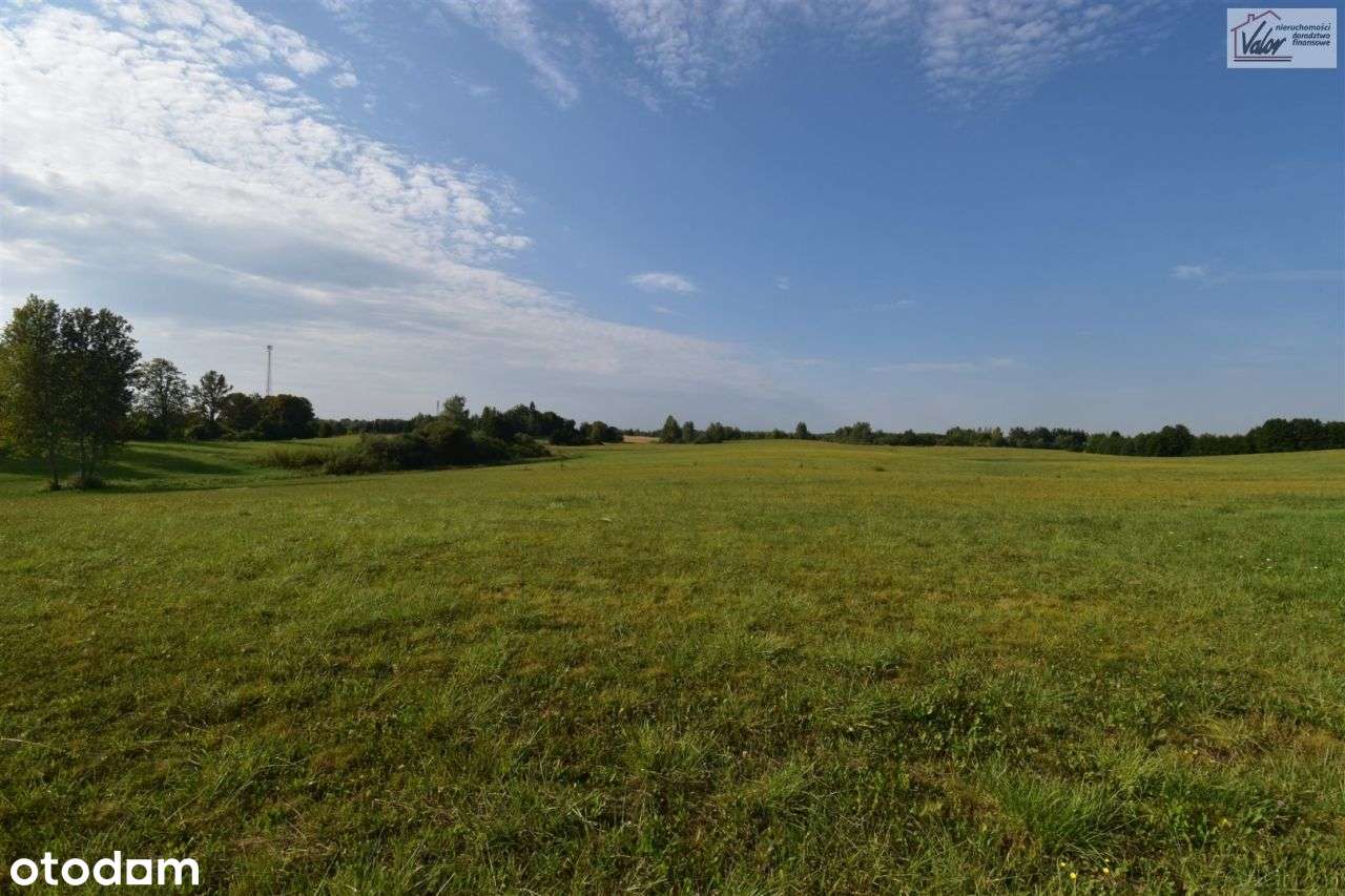 Działka, 3 006 m², Tuławki - Pełny obrazek: 4/11