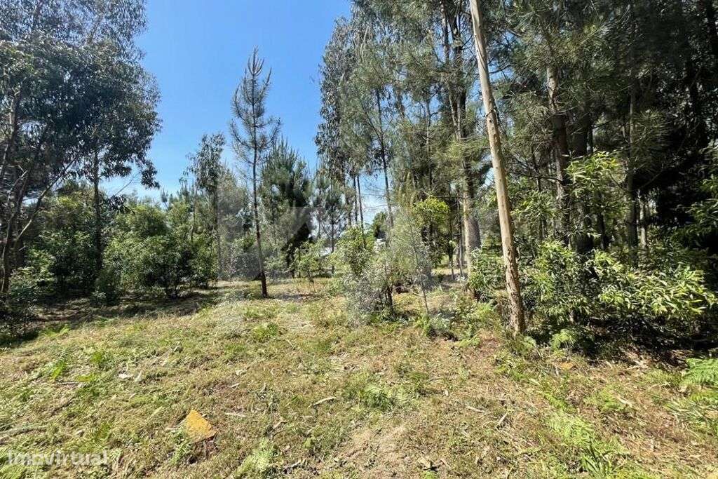 TERRENO PLANO - Grande imagem: 2/6