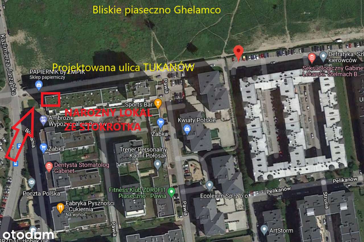 Lokal usługowo-handlowy 115m2. Piaseczno - Pełny obrazek: 5/5