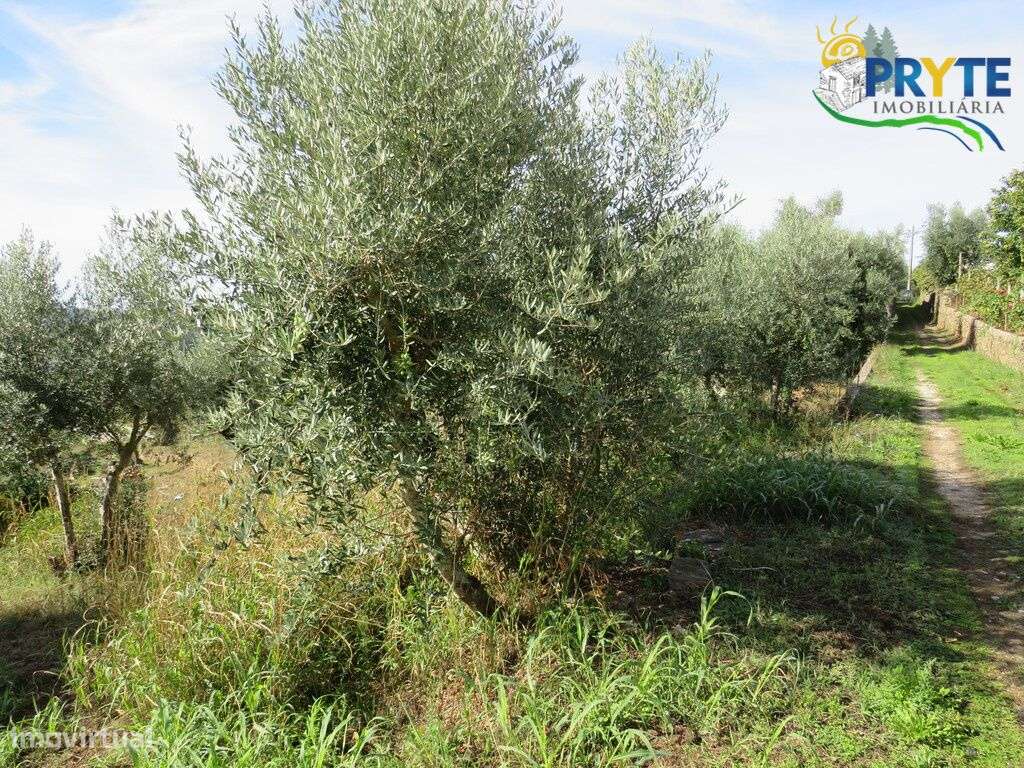 Moradia T3 situada em Outeiro da Lagoa, a apenas 5 minutos da Sertã-16