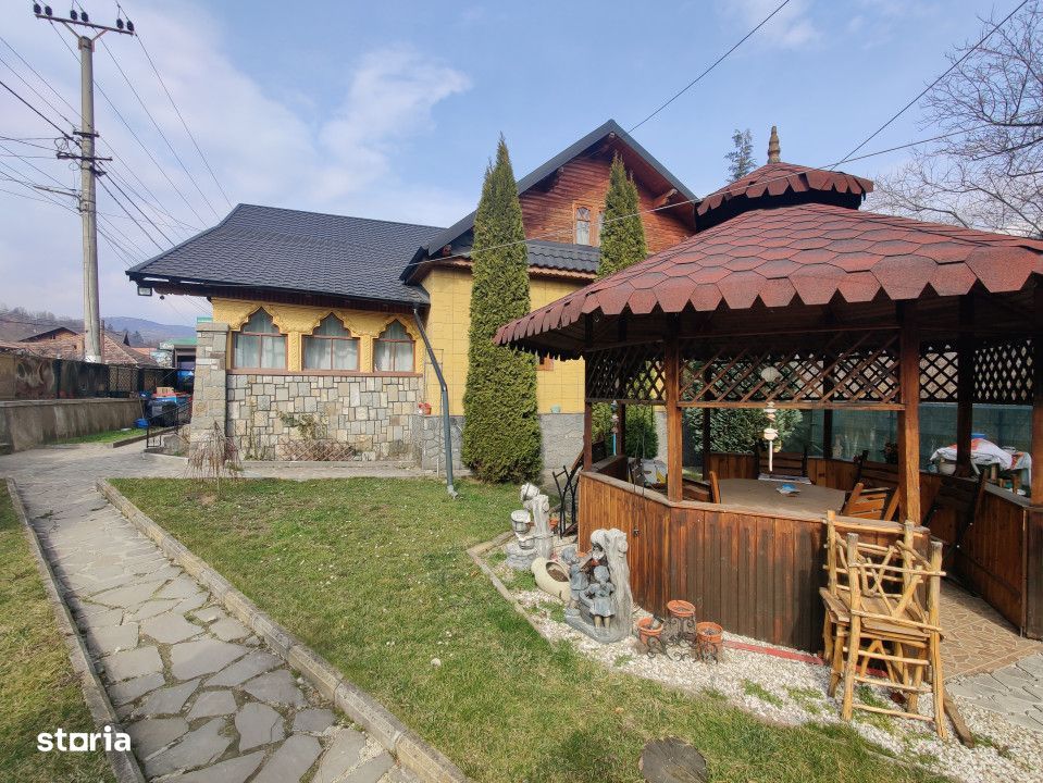 Casa/ case de vanzare in Valea Doftanei- Oportunitate afacere