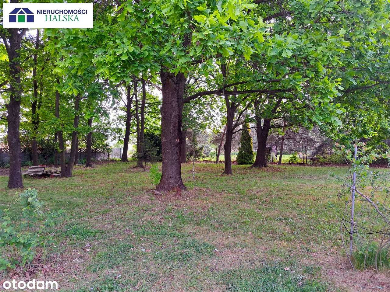 Dom na sprzedaż w mieście z dużą działką-4