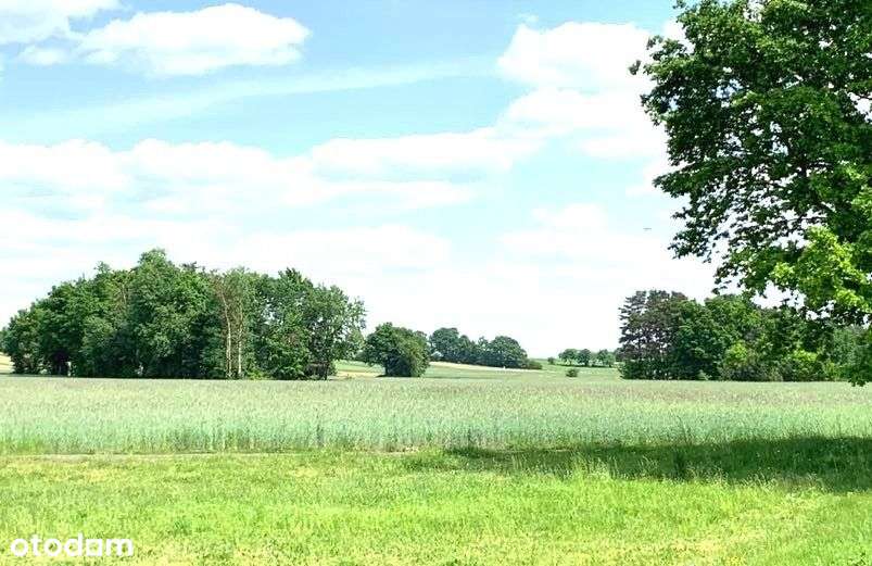 Relaks nad Bugiem/Piękny widok/Zalew - Pełny obrazek: 5/9