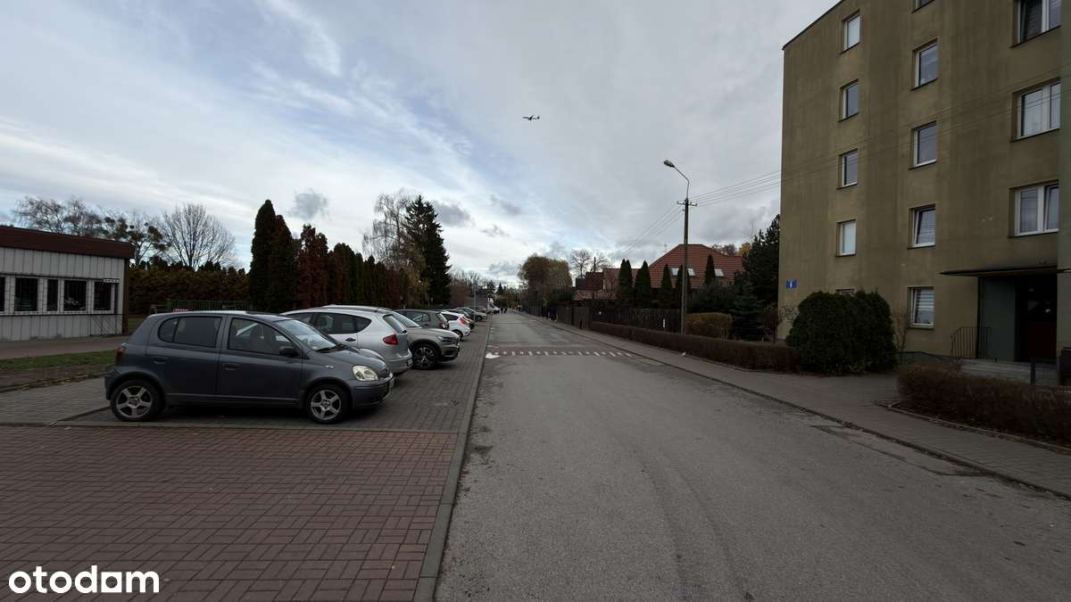 Ustawne mieszkanie do zaaranżowania - Pełny obrazek: 3/19