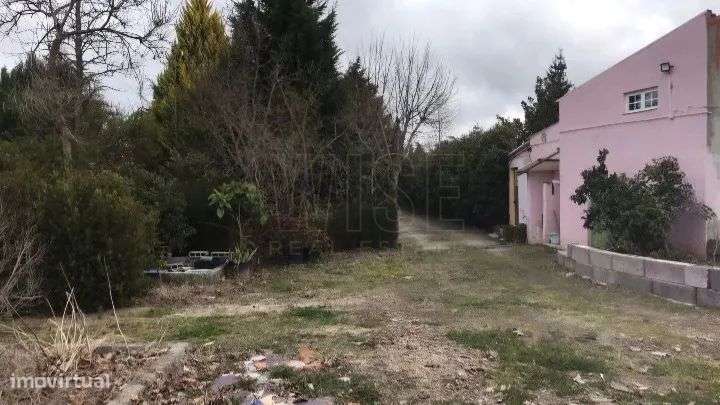 Terreno Rústico - Rio Torto e Lagarinhos - Gouveia-15