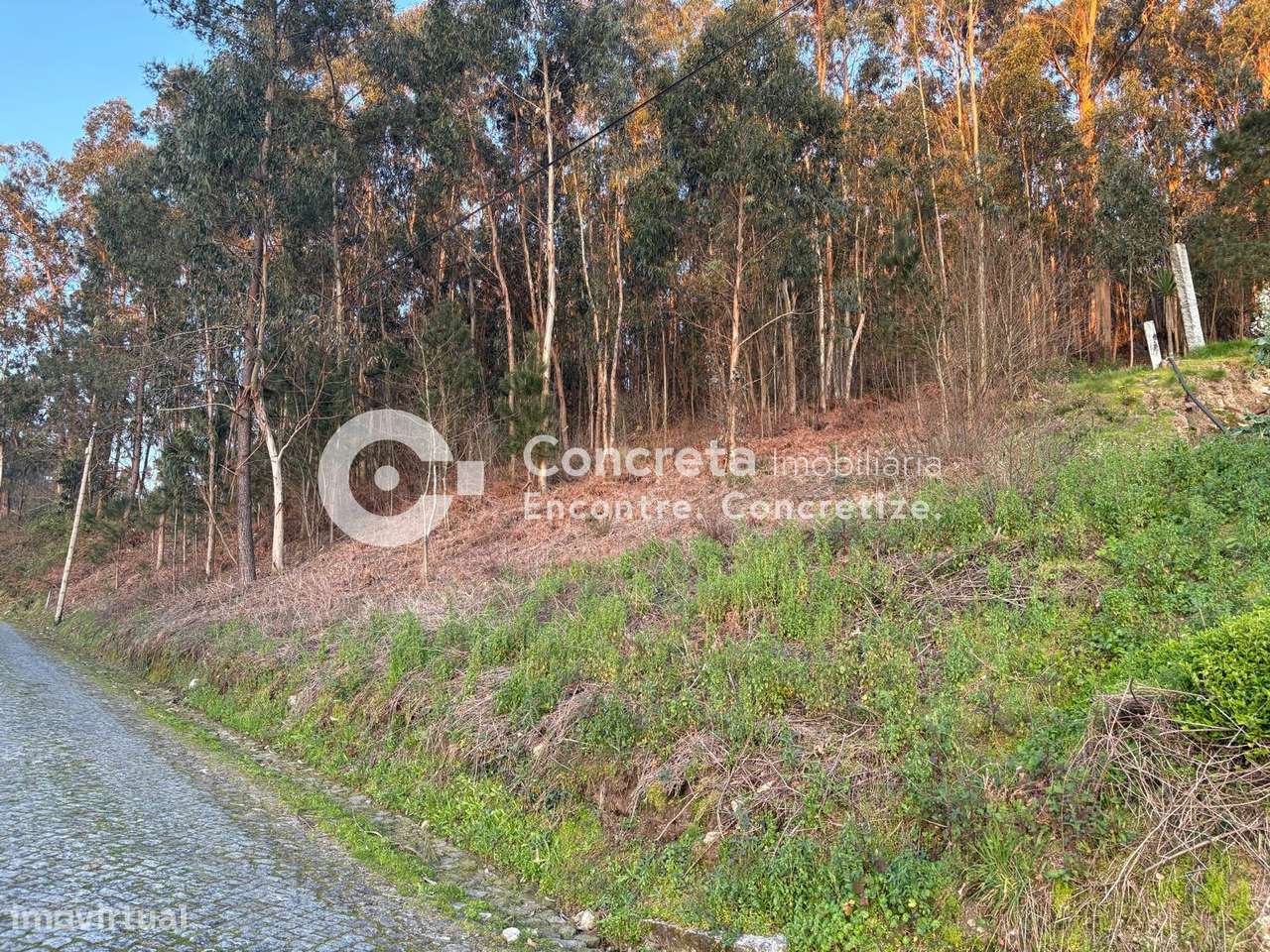 Terreno para construção em Moure, Barcelos - Grande imagem: 3/7