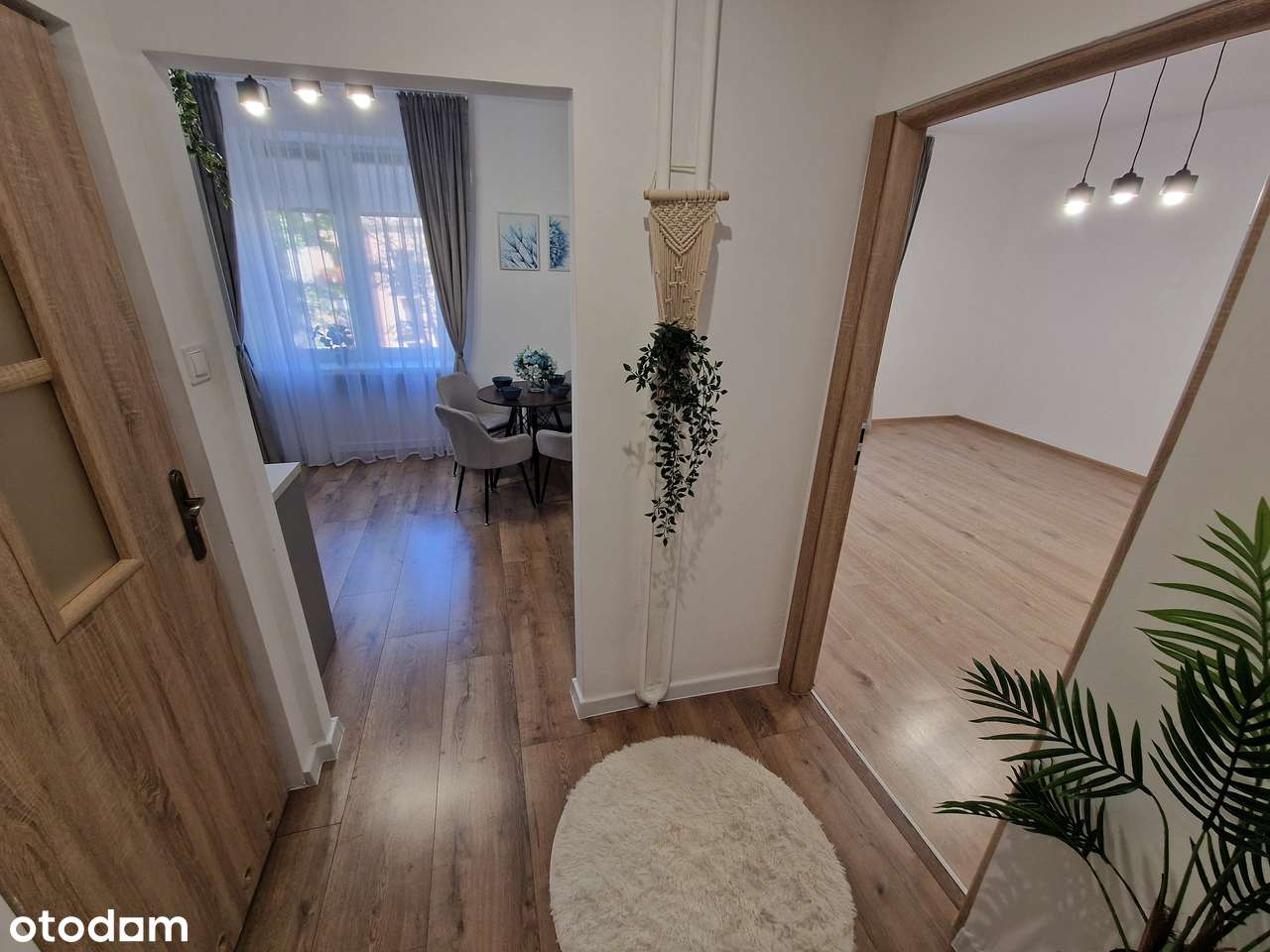 PRZYTULNE 36 m² TUŻ PRZY AKADEMII TARNOWSKIEJ - IDEALNE POD INWESTYCJĘ - Pełny obrazek: 4/14