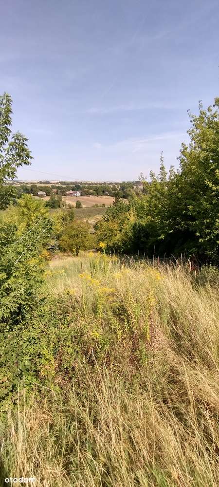 Działka budowlana Prandocin-Wysiołek - Pełny obrazek: 5/12