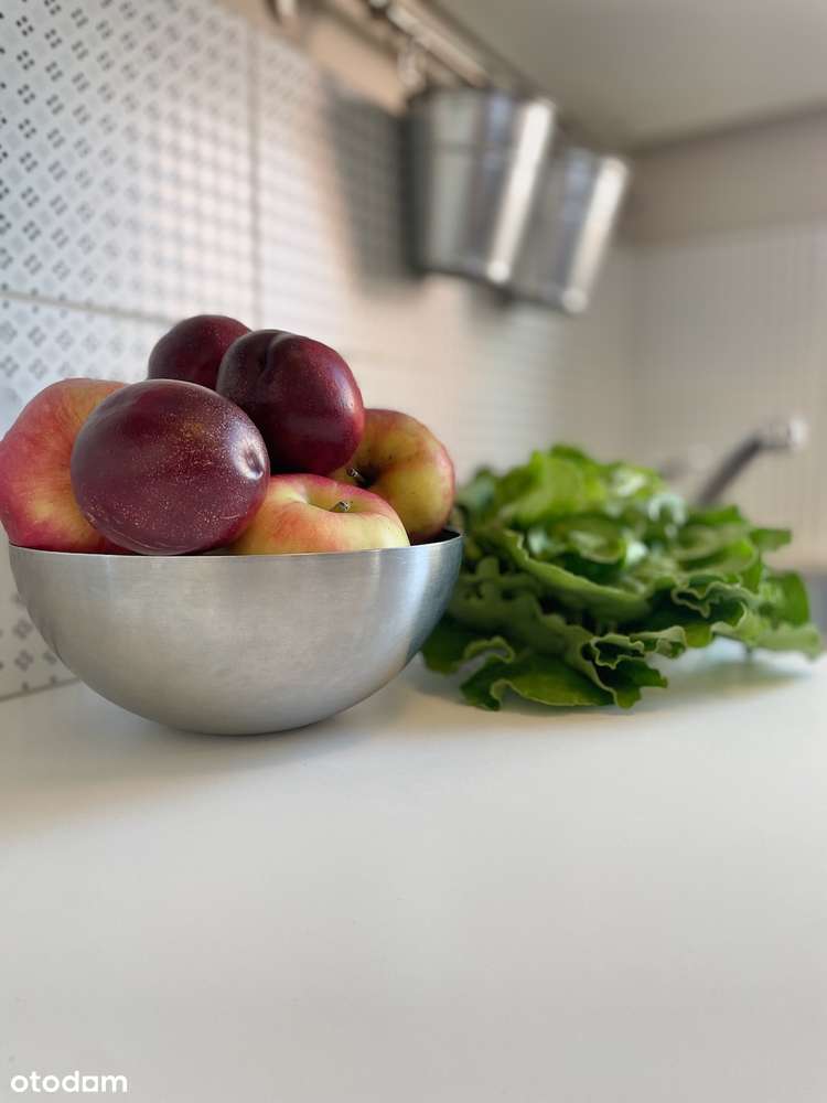 Kawalerka po remoncie | Zielony Sielec | Wyposażona | BEZPOŚREDNIO - Pełny obrazek: 5/12