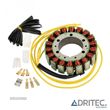 STATOR BMW F 650 700 800 GS F 800 GT F 800 R F 800 S F 800 ST - 1