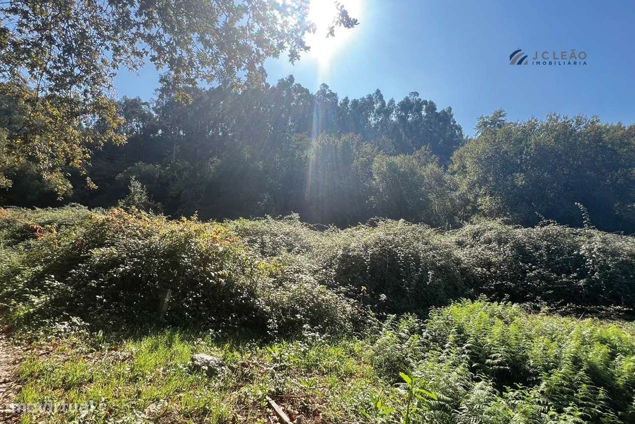 Terreno Agrícola 10.400 m² – Rebordosa, Paredes-8