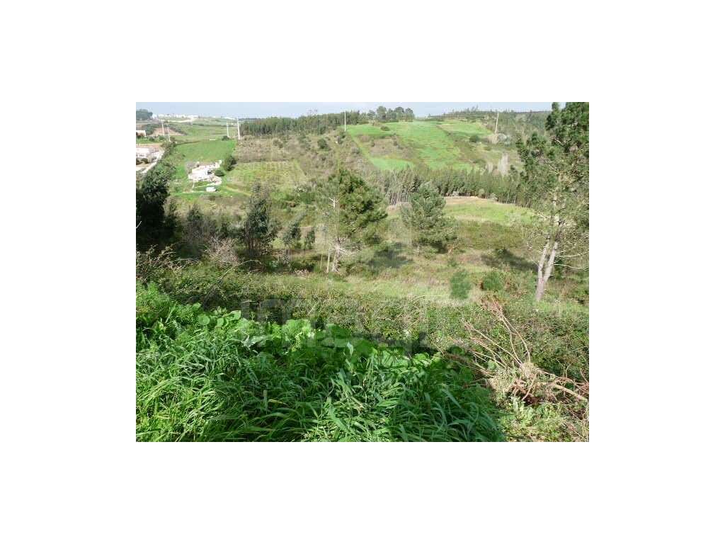 Terreno rústico na Ericeira - Grande imagem: 3/5