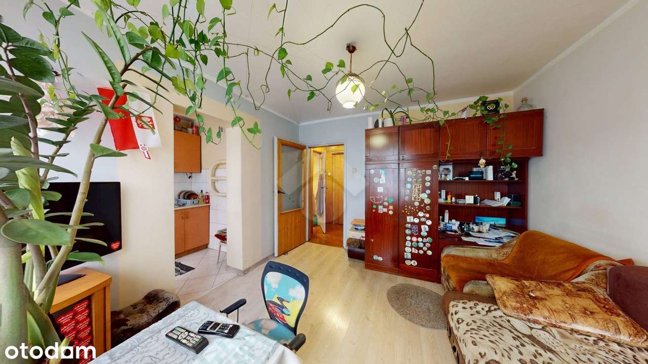 2-pokojowe mieszkanie w zielonej okolicy | do remontu - Pełny obrazek: 3/12