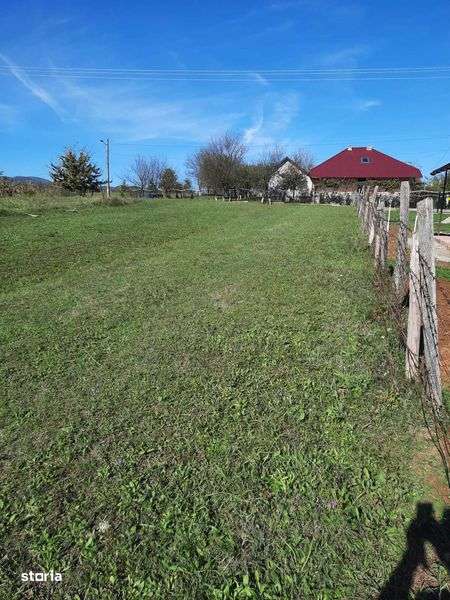 Teren de vanzare  - urgent - Imagine principală: 4/4