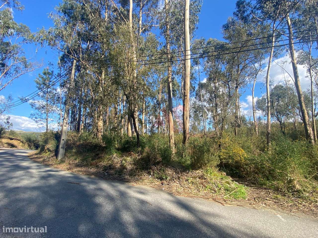 Terreno Rústico com 17.569 m2 em Sousela, Lousada - Grande imagem: 4/5