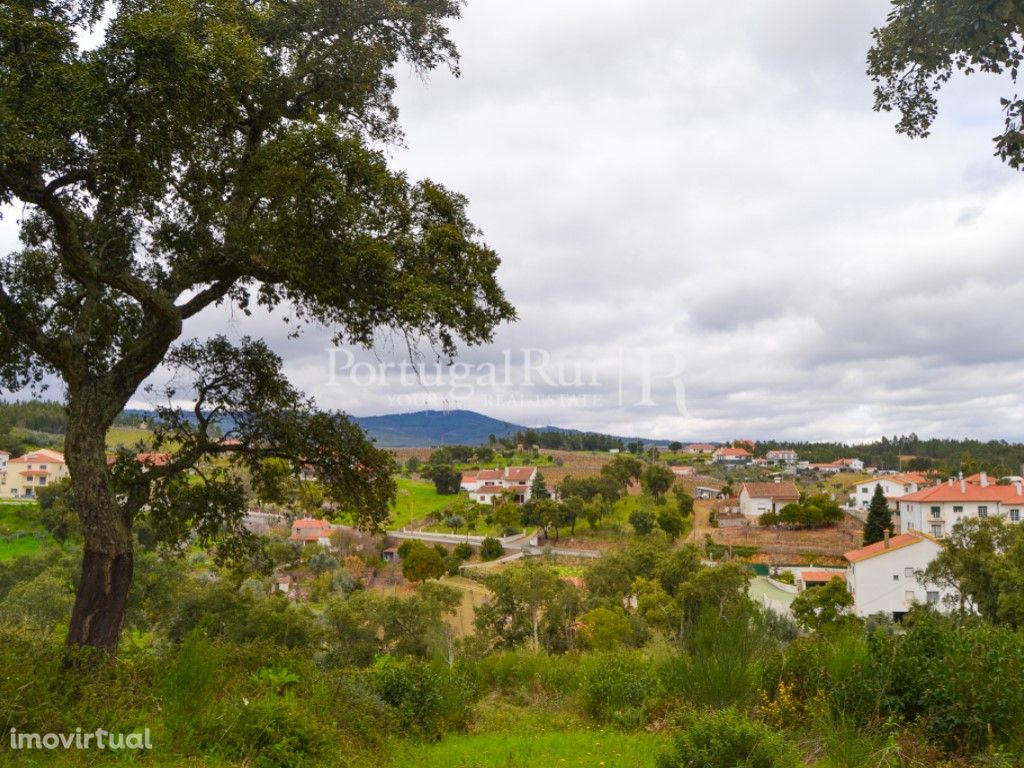 Lote para Construção em Proença-a-Nova