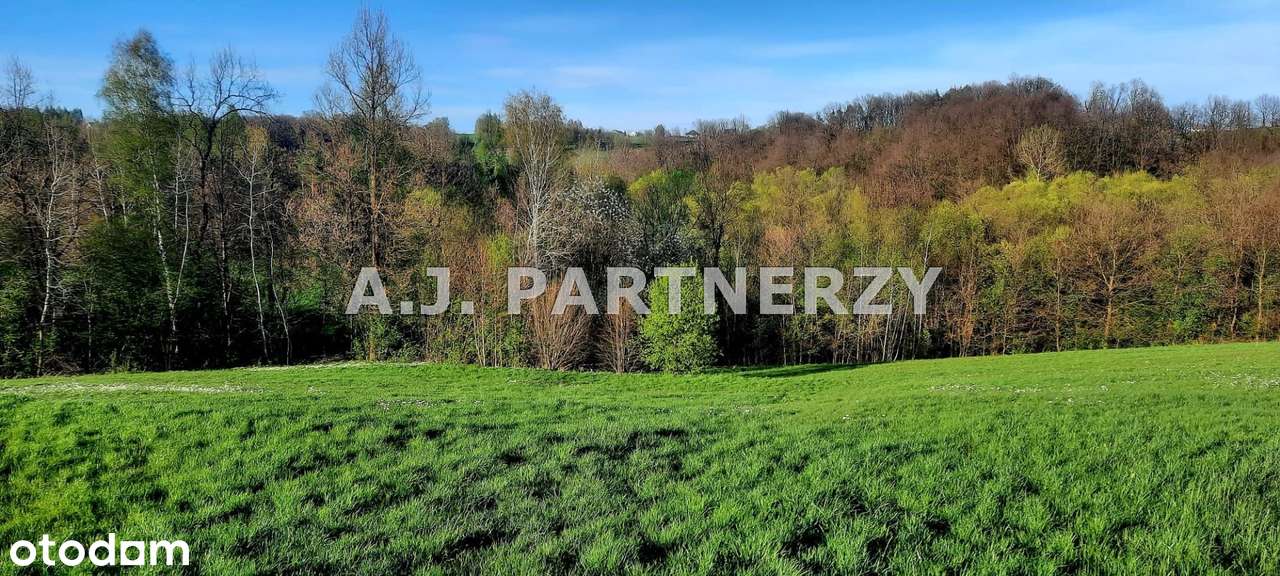 Działka w zielonej okolicy-5