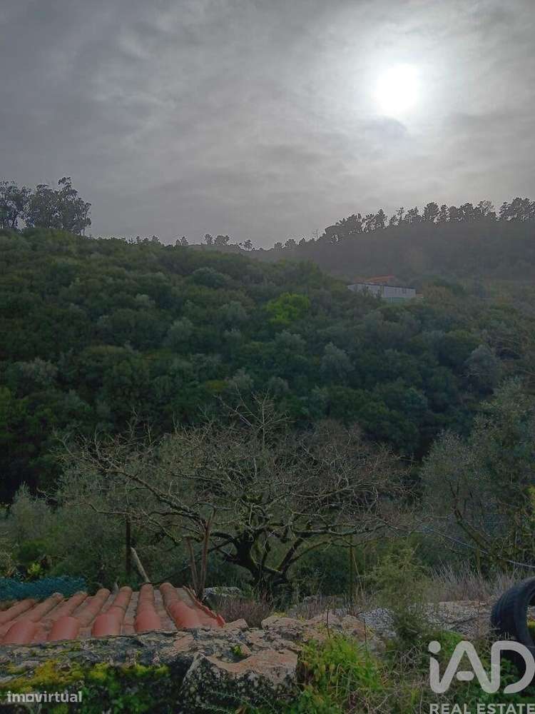 Casa T4 em Aljubarrota de 4807,00 m2 - Grande imagem: 4/17